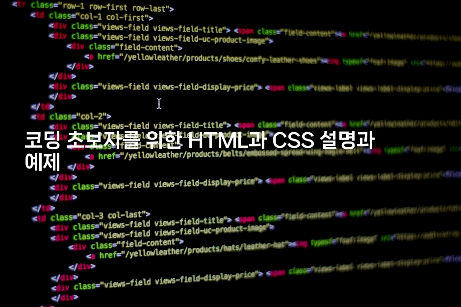 코딩 초보자를 위한 HTML과 CSS 설명과 예제