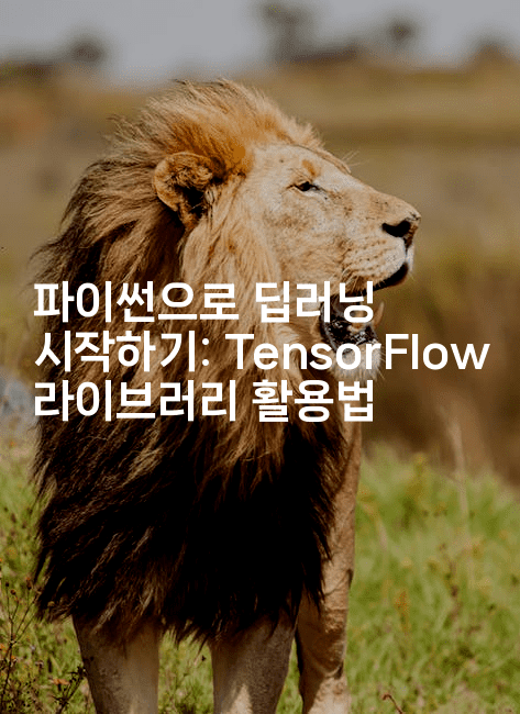 파이썬으로 딥러닝 시작하기: TensorFlow 라이브러리 활용법
2-짜장파이