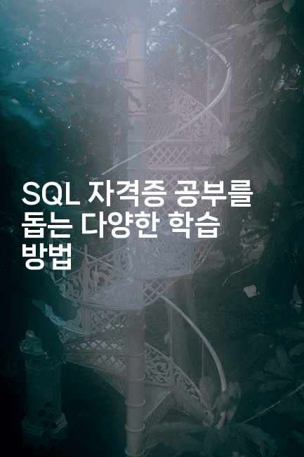 SQL 자격증 공부를 돕는 다양한 학습 방법