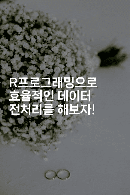 R프로그래밍으로 효율적인 데이터 전처리를 해보자!-짜장파이