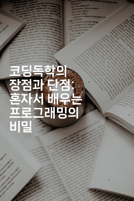 코딩독학의 장점과 단점: 혼자서 배우는 프로그래밍의 비밀2-짜장파이