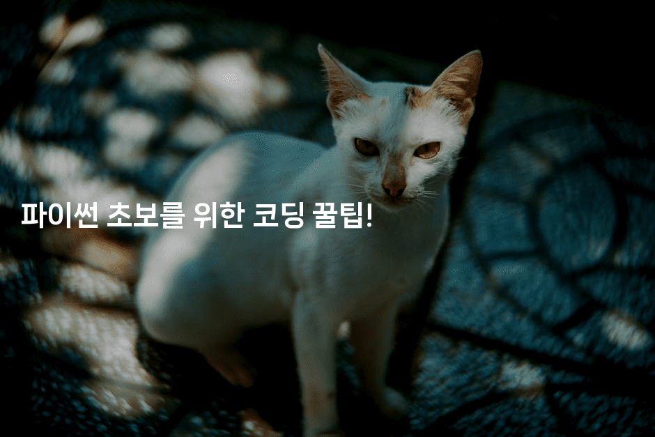 파이썬 초보를 위한 코딩 꿀팁! 2-짜장파이