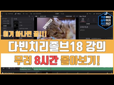 다빈치리졸브18 기초 강의 무려 8시간 몰아보기 | DavinciResolve18 Basics Tutorial