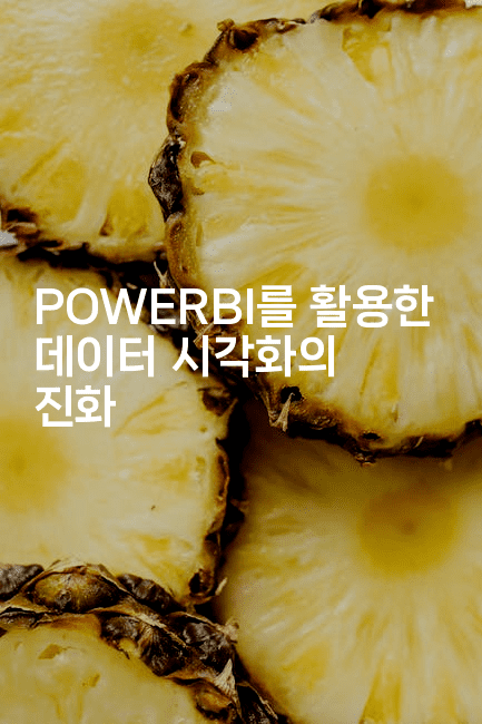 POWERBI를 활용한 데이터 시각화의 진화2-짜장파이