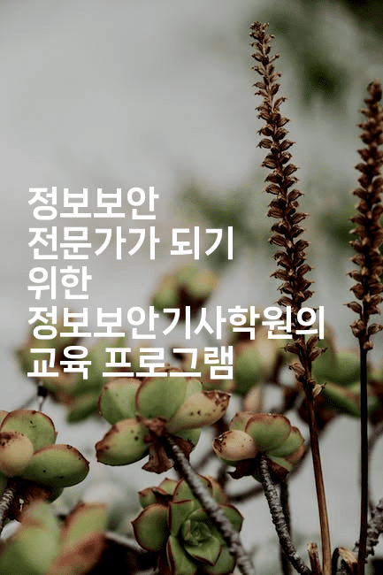 정보보안 전문가가 되기 위한 정보보안기사학원의 교육 프로그램