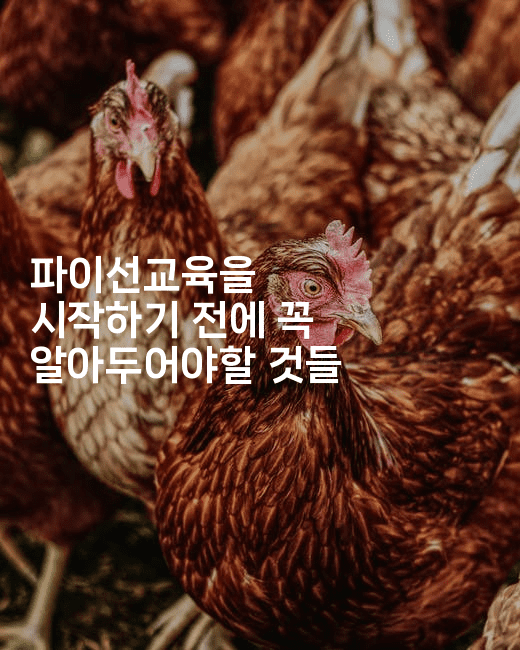 파이선교육을 시작하기 전에 꼭 알아두어야할 것들 -짜장파이