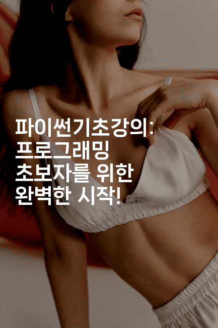 파이썬기초강의: 프로그래밍 초보자를 위한 완벽한 시작!2-짜장파이