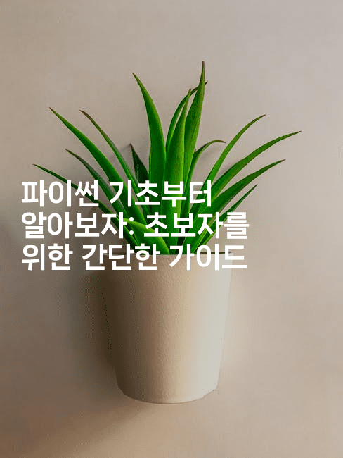 파이썬 기초부터 알아보자: 초보자를 위한 간단한 가이드