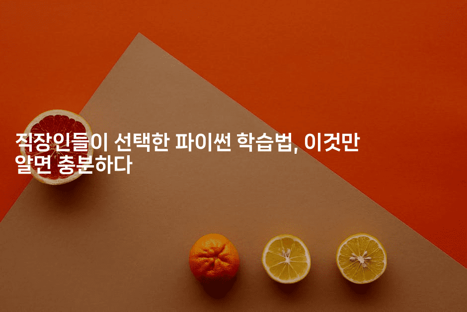 직장인들이 선택한 파이썬 학습법, 이것만 알면 충분하다