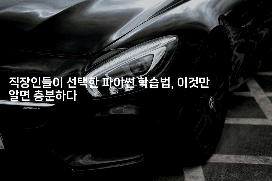 직장인들이 선택한 파이썬 학습법, 이것만 알면 충분하다2-짜장파이