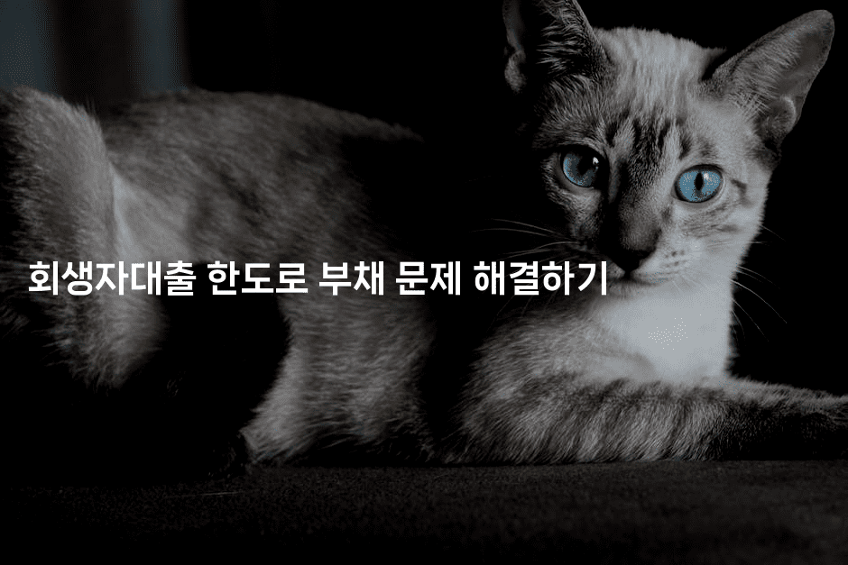 회생자대출 한도로 부채 문제 해결하기-짜장파이