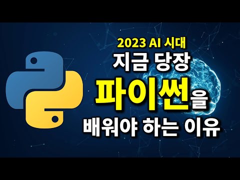 AI 시대 파이썬을 배워야 하는 이유