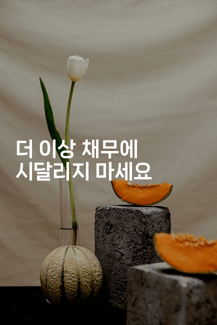 더 이상 채무에 시달리지 마세요-짜장파이