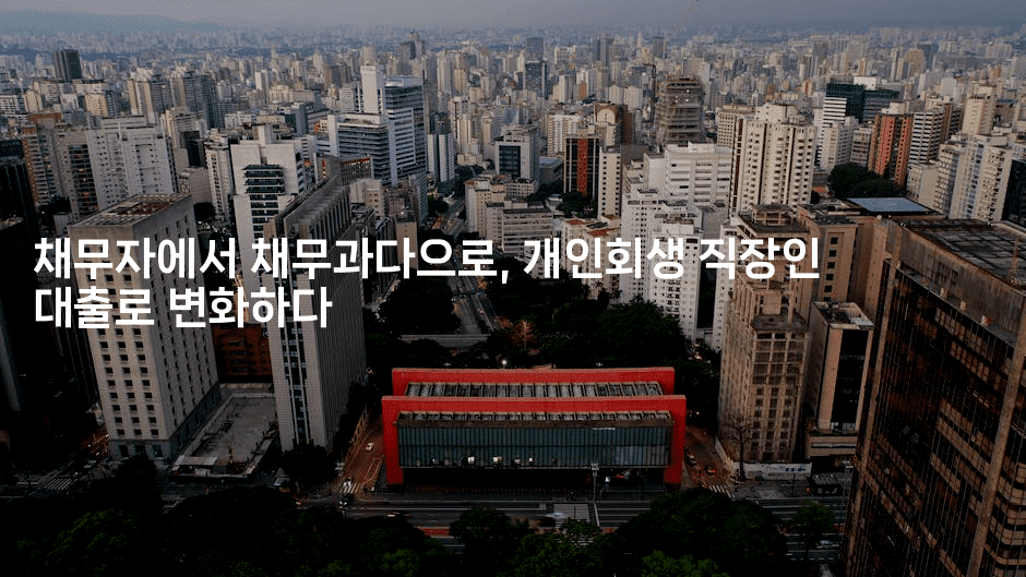 채무자에서 채무과다으로, 개인회생 직장인 대출로 변화하다-짜장파이