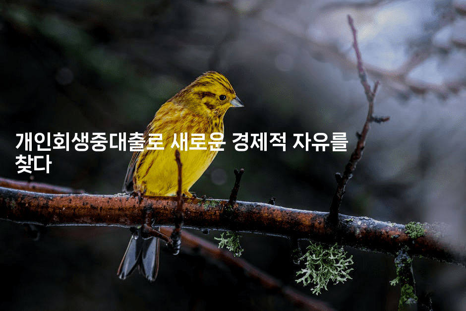 개인회생중대출로 새로운 경제적 자유를 찾다-짜장파이