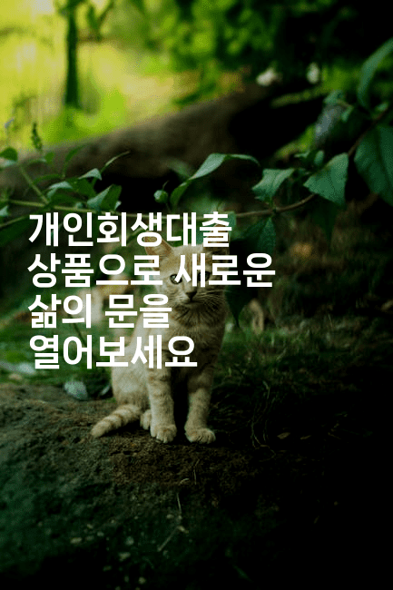 개인회생대출 상품으로 새로운 삶의 문을 열어보세요