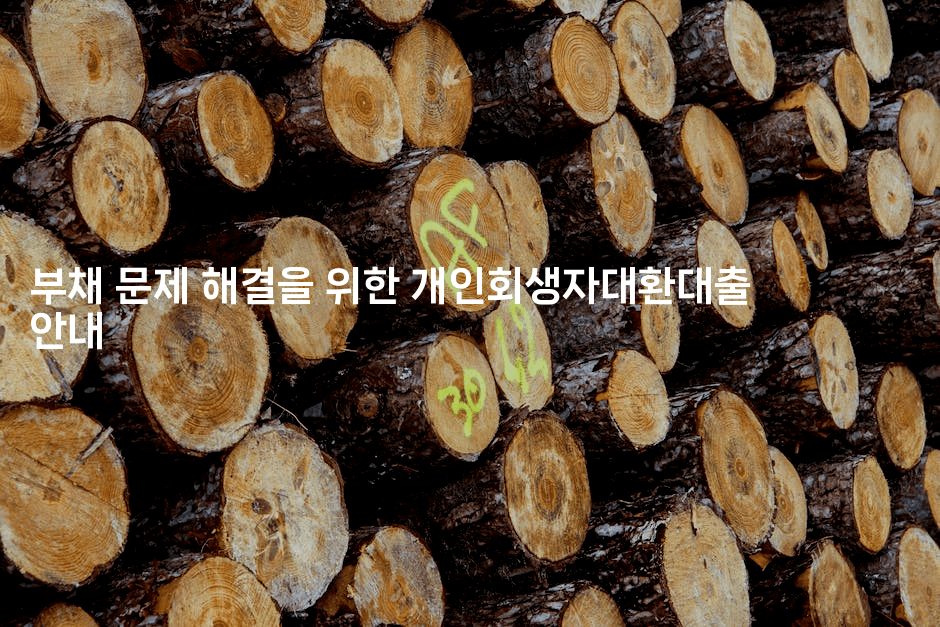 부채 문제 해결을 위한 개인회생자대환대출 안내-짜장파이