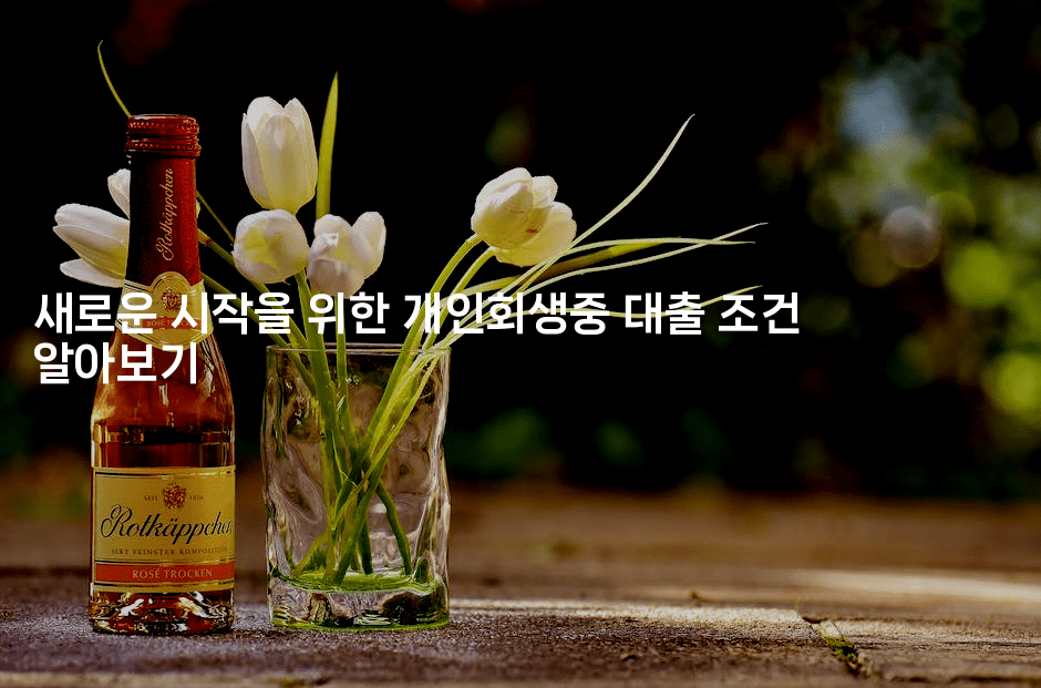 새로운 시작을 위한 개인회생중 대출 조건 알아보기-짜장파이